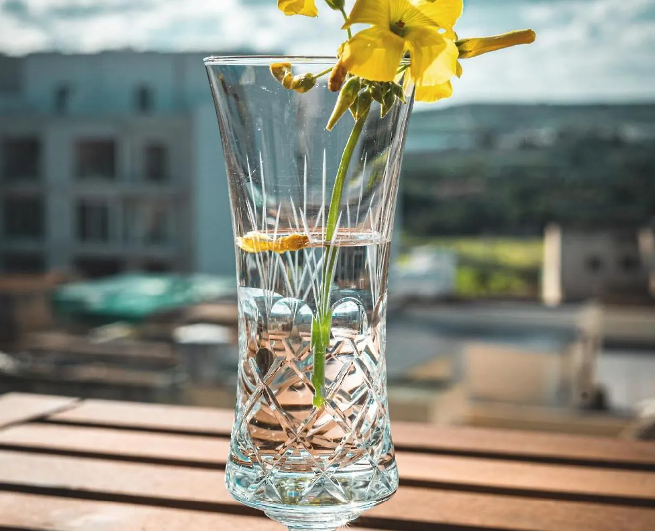Artists' Nest Bed and Breakfast Marsaskala